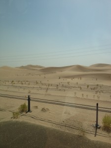 View from the car riding to Al Ain-Oman for the border run.